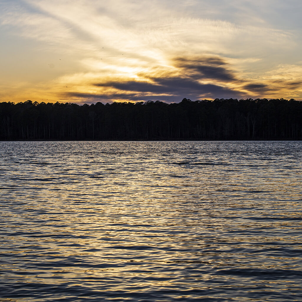 North Carolina’s water quality in danger due to excess nutrients