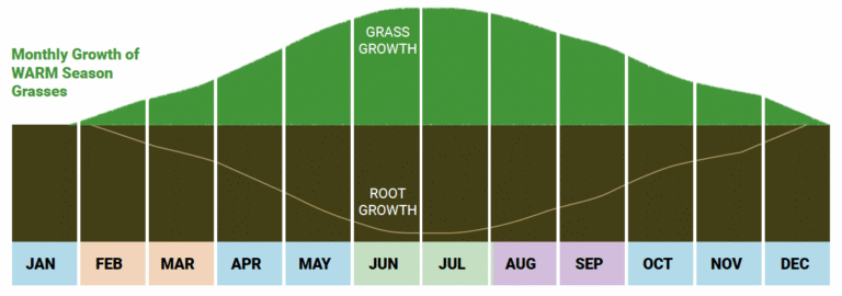 Monthly growth chart for Warm Season Grasses. Shows grass growth and root growth throughout the year.